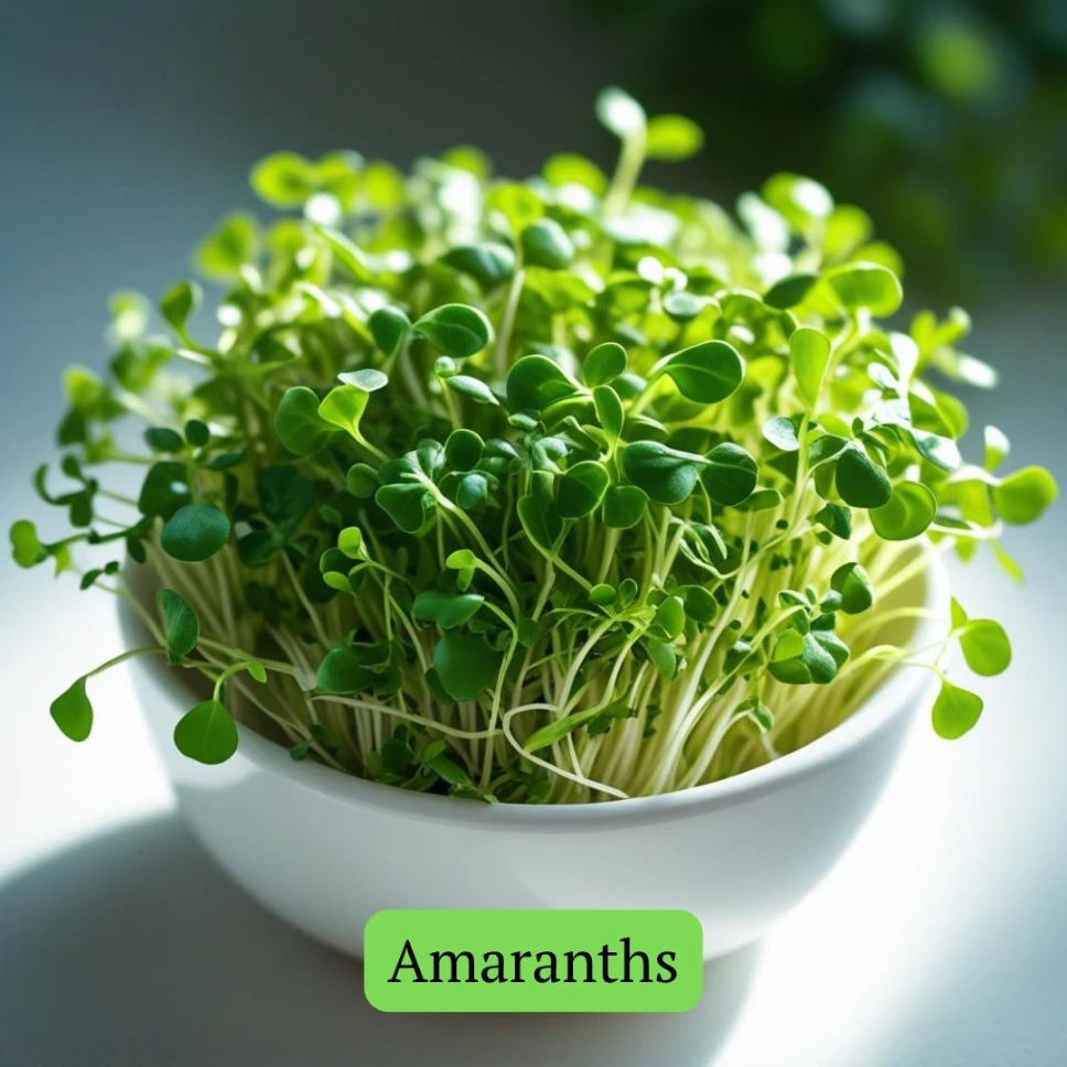 Amaranths